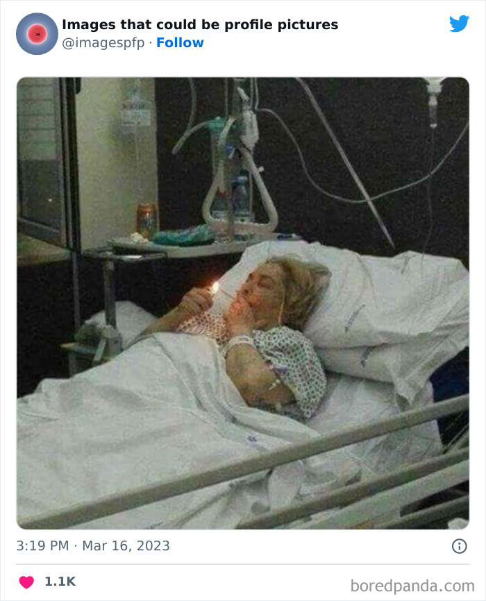 Images-That-Could-Be-Profile-Pictures