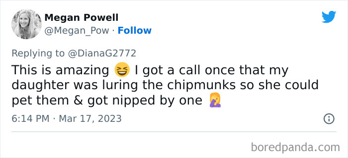 Screenshot of a tweet describing an unhinged kid luring chipmunks to pet them and getting nipped by one.