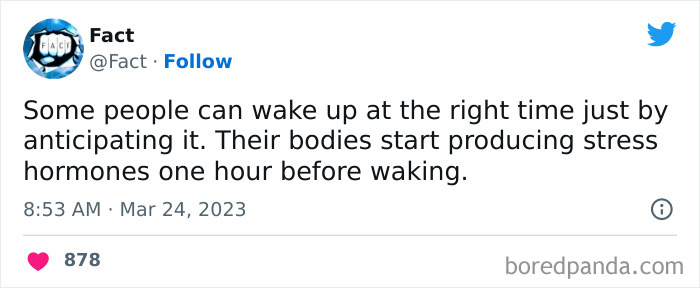 Interesting-Facts-About-Life