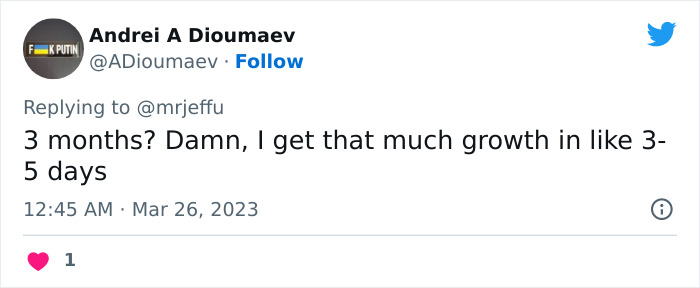 Kyoto University Graduates Traditionally Put On Bizarre Outfits For The Ceremony, And This Student Attempts To Cosplay President Zelensky