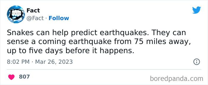 Interesting-Facts-About-Life