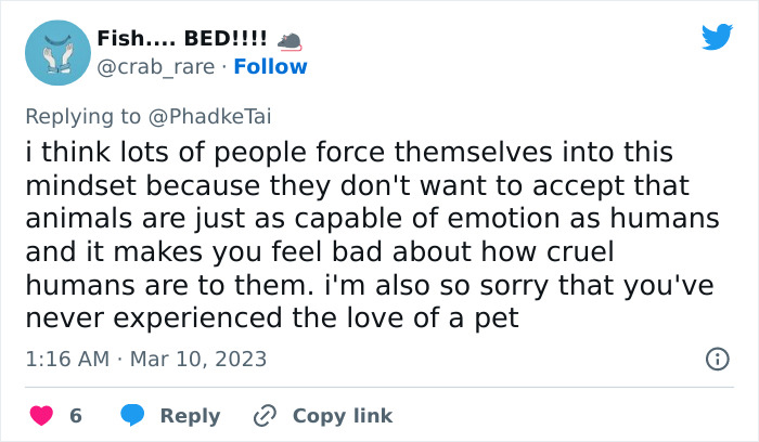 &ldquo;Your Dog And Cat Do Not &lsquo;Love&rsquo; You&rdquo;: Person Attempts To &lsquo;Debunk Myth&rsquo; On The Nature Of Pet-Owner Relationships, Gets Slammed Heavily In Return