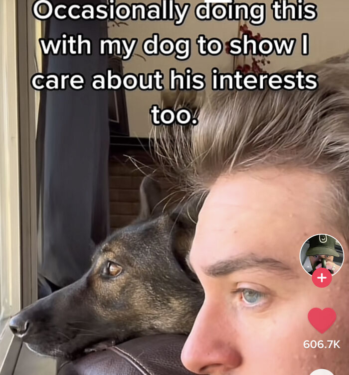 Funny-Respectful-Memes