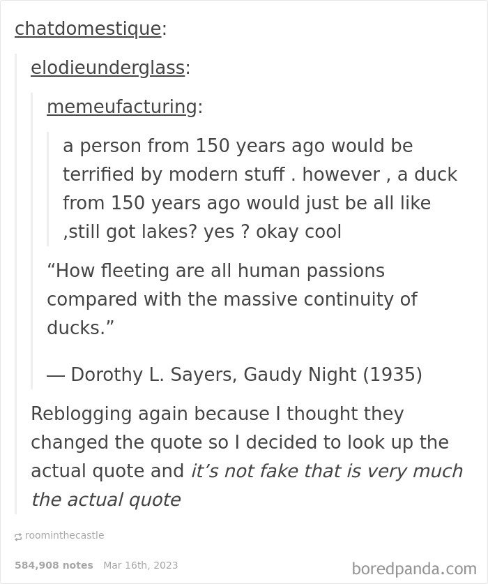 Funny-Weird-Tumblr-Screenshots-Antisocialduckling