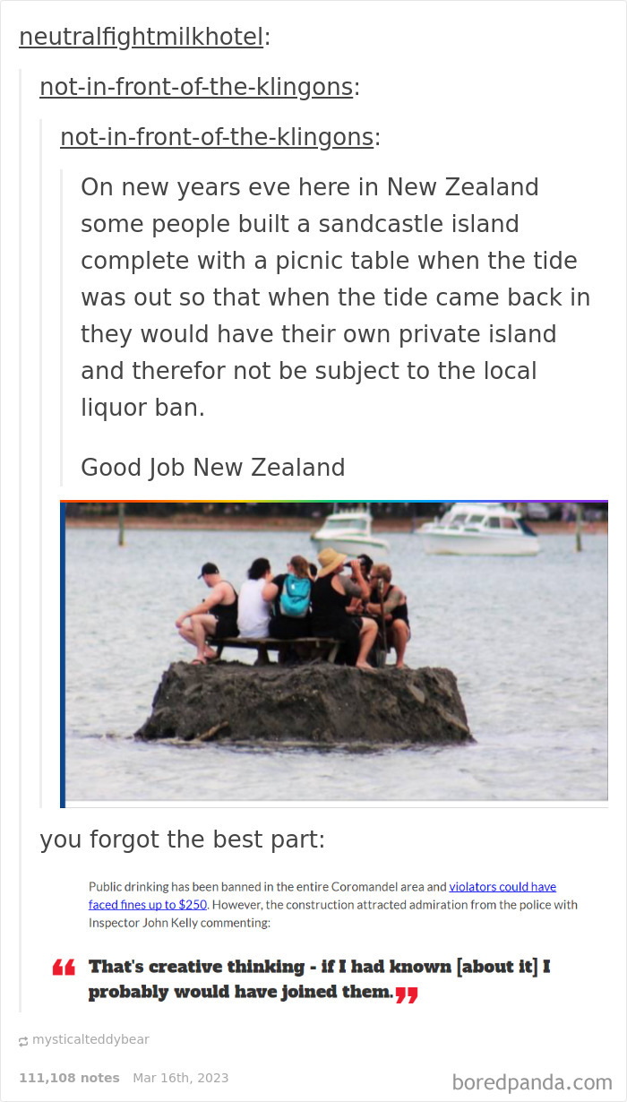 Funny-Weird-Tumblr-Screenshots-Antisocialduckling