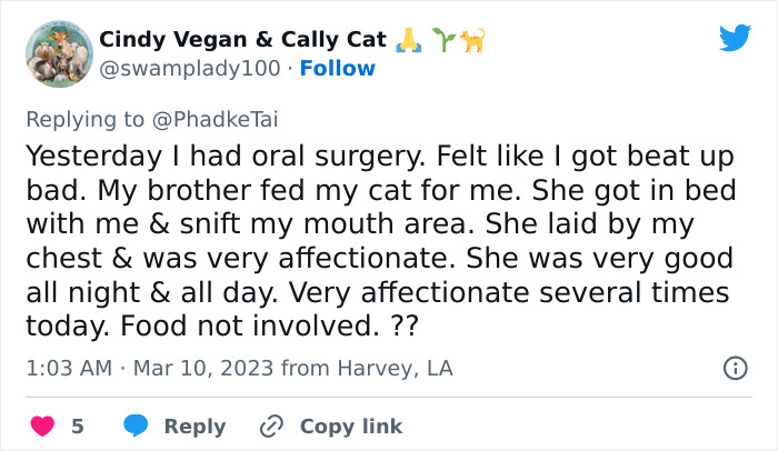 &ldquo;Your Dog And Cat Do Not &lsquo;Love&rsquo; You&rdquo;: Person Attempts To &lsquo;Debunk Myth&rsquo; On The Nature Of Pet-Owner Relationships, Gets Slammed Heavily In Return