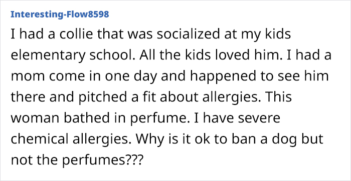 &ldquo;Karen, Of Course, Screeches For A Supervisor&rdquo;: Karen's Fake Allergy To Service Dog Backfires As The Airline Upgrades The Owner To First Class