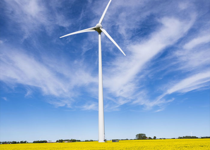 "I'm Dating An Idiot": 40 Funny Moments When People Realized The Person They're Dating Isn't Very Sharp