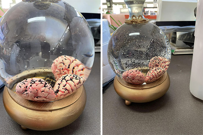 Best Thing I Have Ever Found. A Brain Snow (Ash?) Globe. Red Hill Salvo’s, Queensland