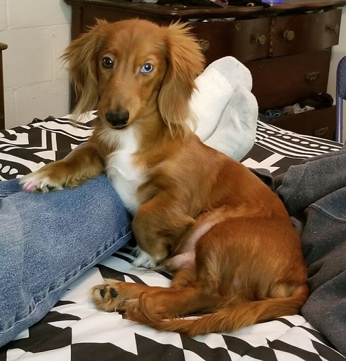 Such A Distinguished Gentleman