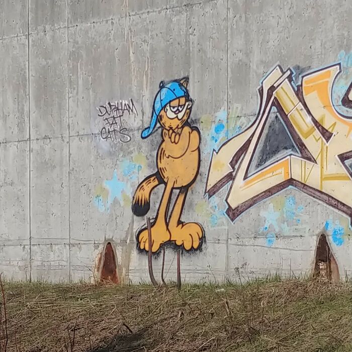 Durham Fat Cat Under A Bridge