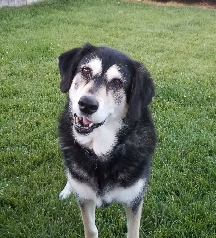 My Most Special Girl Sadie