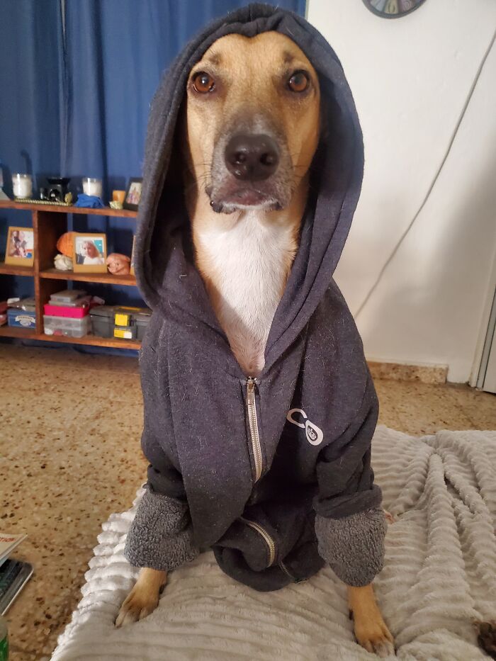 My Girl Honey After A Bath ❤️