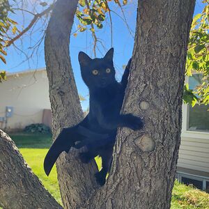 amberfalkenborg avatar