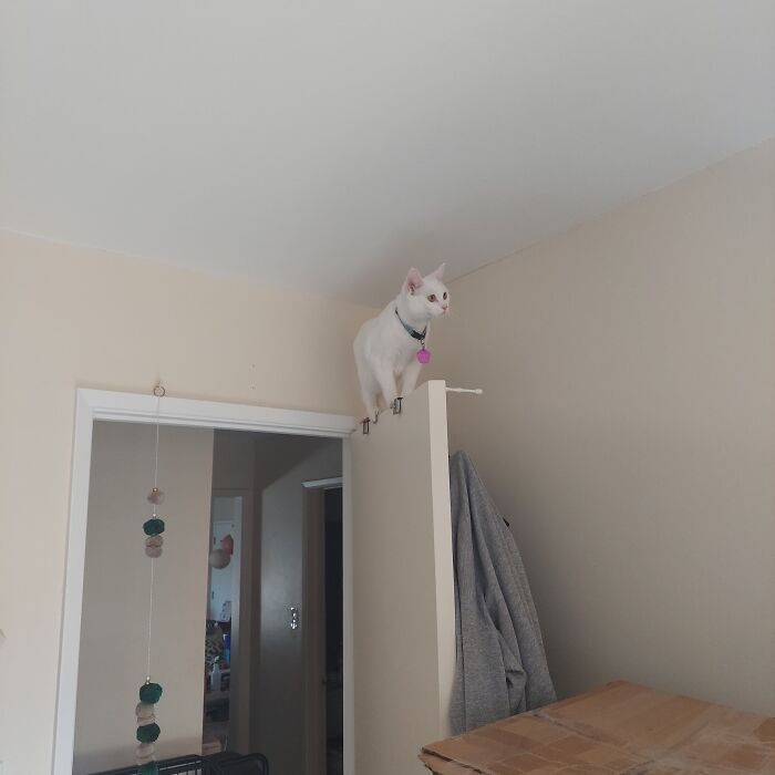 I'm Taller Than You Now!