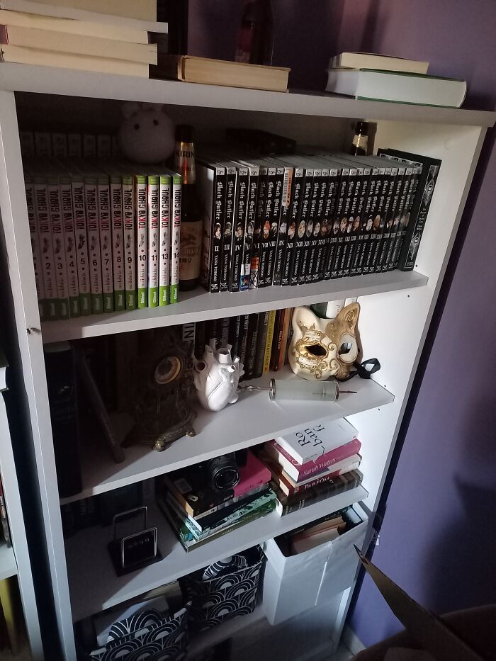 I Have My Own Library That Contains More Than 300 Books, Around 100 Of Them Are Mangas. I Also Collect Fancy Beer Bottles. Some Of My Beer Bottles Are Specially Crafted In A Limited Amount Or Are From Cool Places Like Venice. I Also Like Random Knicknacks And Antiques. Enjoy This Picture Of A Fracture Of My Collection Including The Black Butler Series, The Tokyo Ghoul Series In French And Books Like The Catcher In The Rye In Hungarian (My Native Language)