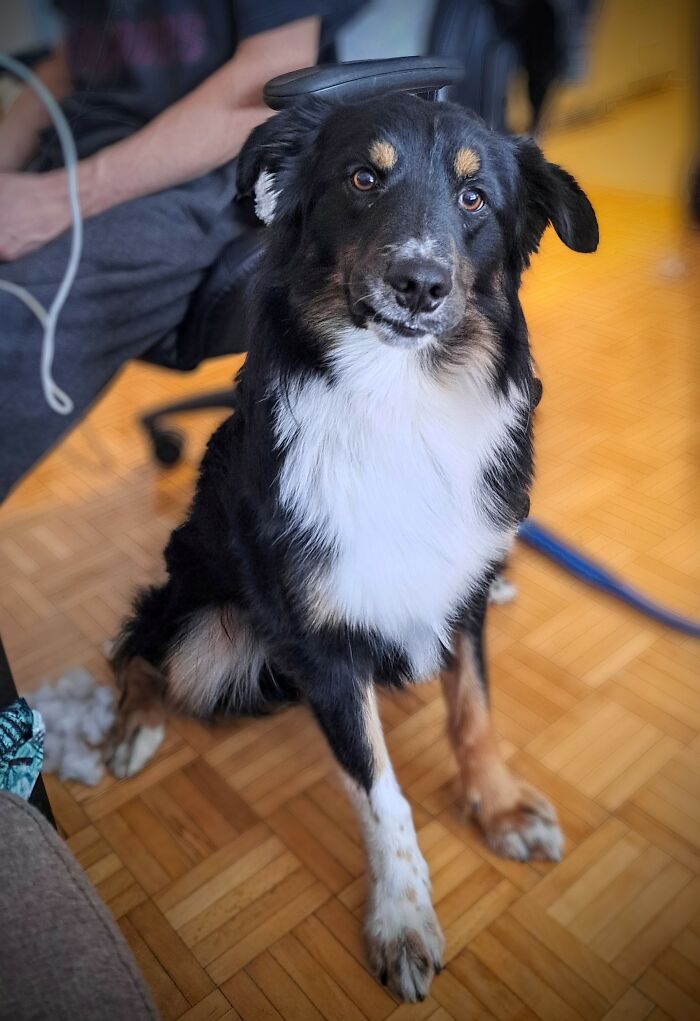 2 Year Old Thunder ⛈️ 🥰