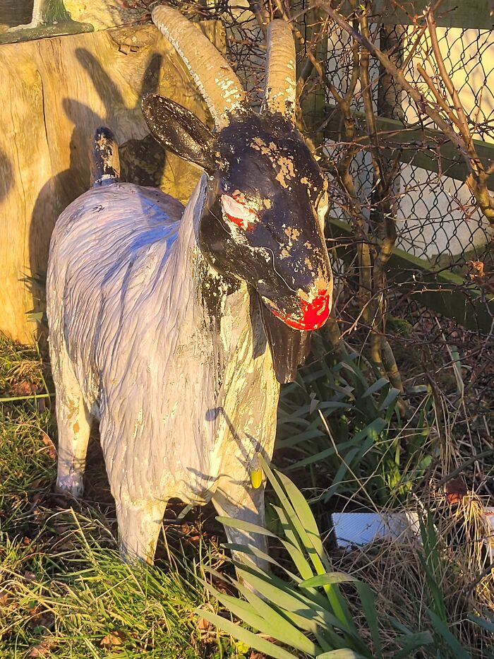 It's A Goat..i Think?