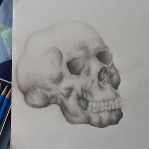 sh-grace-2007 avatar