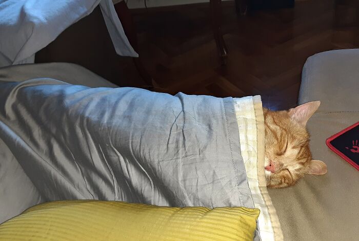 My Ginger Burrito...😴🥰