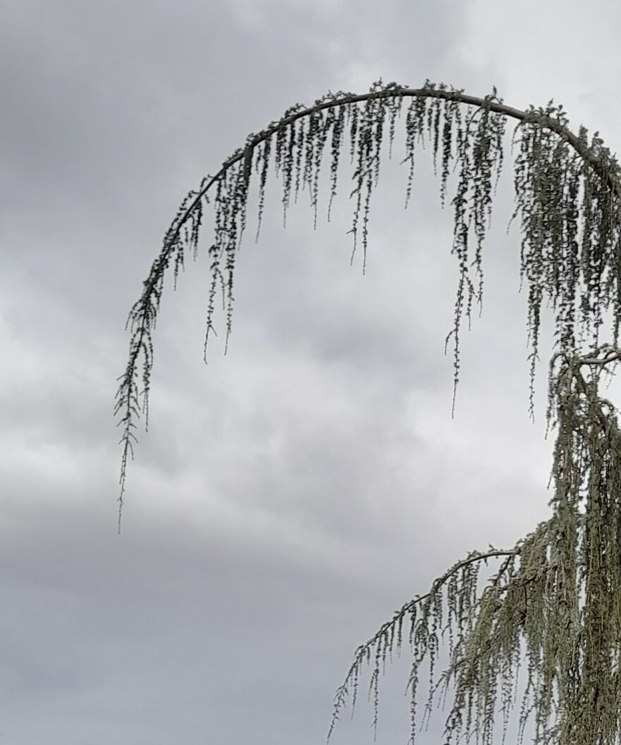 Ominous Sky, Harbinger Of Rain...not A Drop!