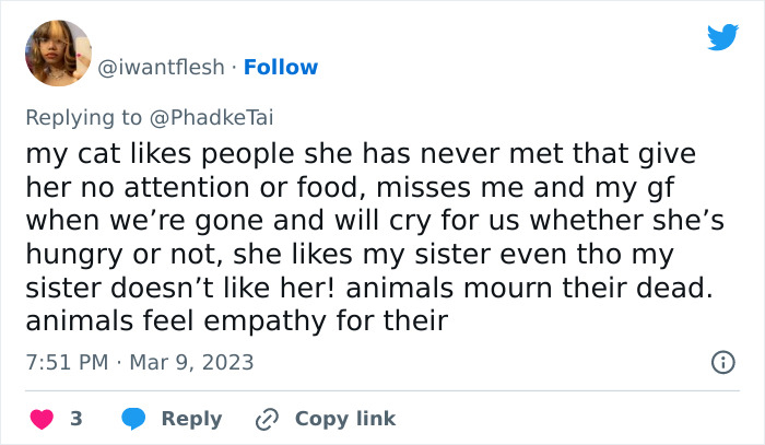 &ldquo;Your Dog And Cat Do Not &lsquo;Love&rsquo; You&rdquo;: Person Attempts To &lsquo;Debunk Myth&rsquo; On The Nature Of Pet-Owner Relationships, Gets Slammed Heavily In Return