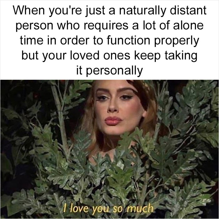 Funny-Daily-Introvert-Memes