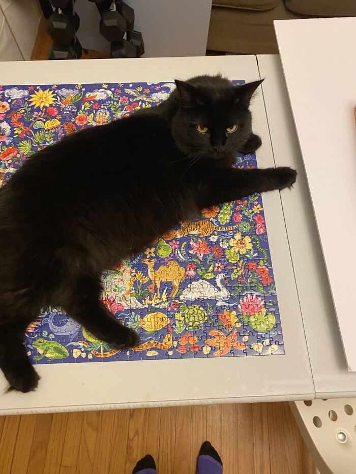 Here Are Some Photos Of My Pets To Hopefully Brighten Your Day (20 Pics)