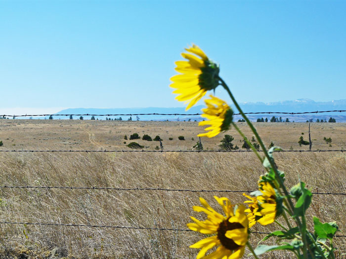 30 Facts That Might Make You Think “Well, That’s Enough Internet For One Day”, As Shared By Folks In This Online Group