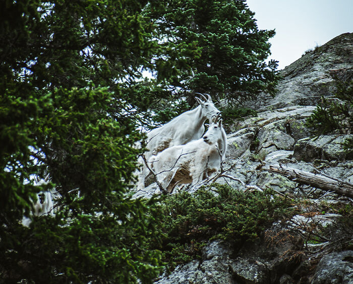 “What Is The Worst Gift You Ever Received?”: 45 Undeniably Bad Gifts, As Shared By The Bored Panda Community