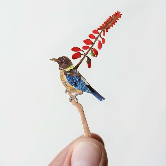 All The Beauty Of Nature Shown In Paper Cutouts By An Indian Artist