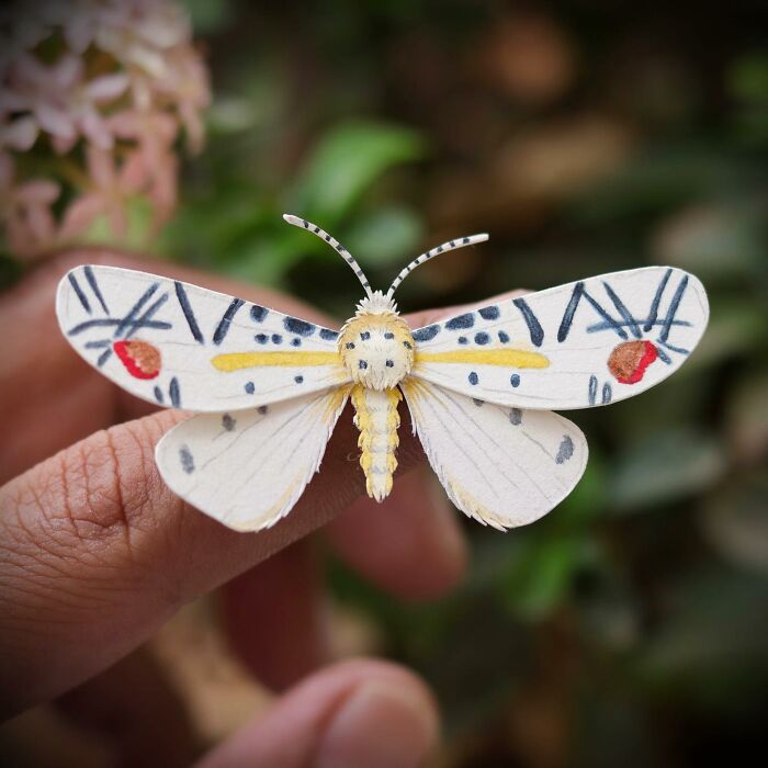 All The Beauty Of Nature Shown In Paper Cutouts By An Indian Artist