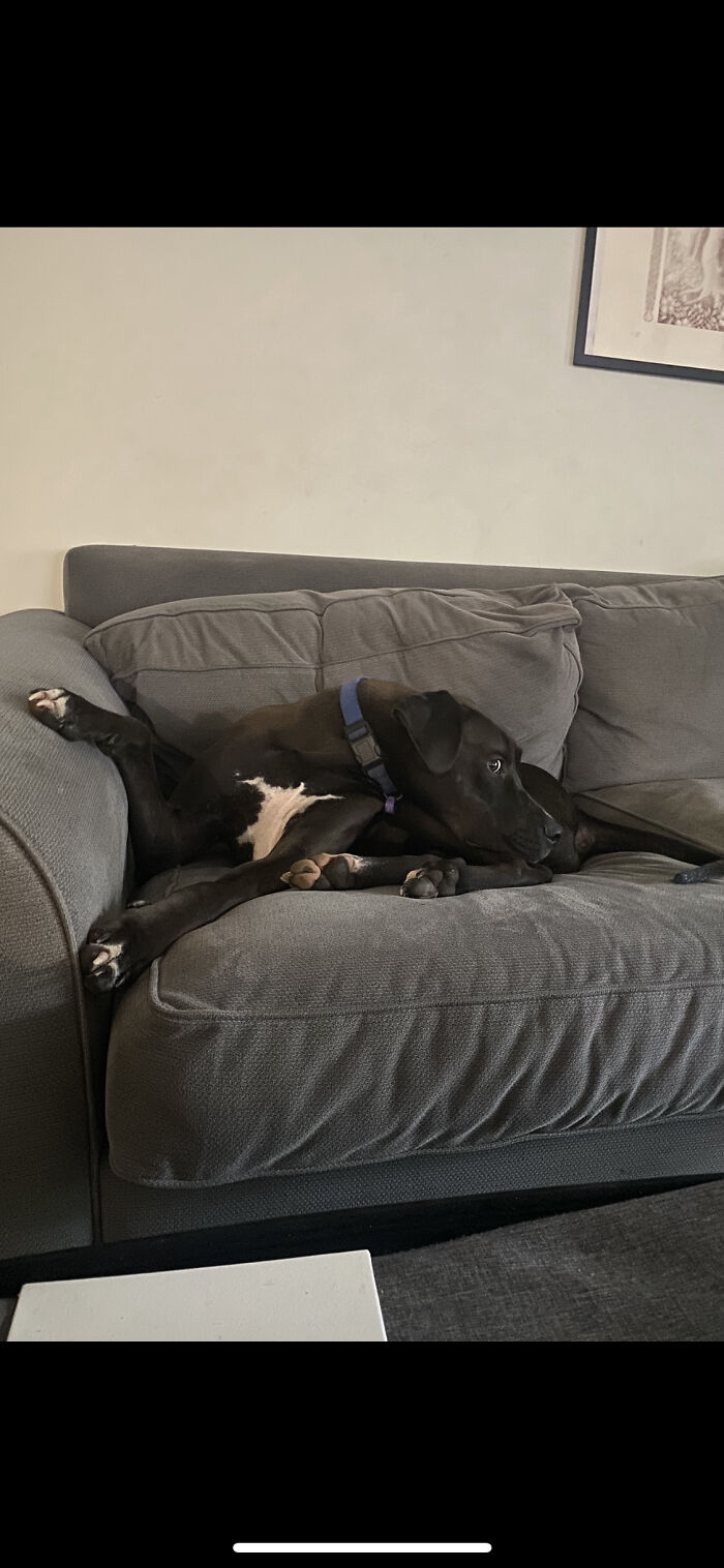 This Is How He Sits Sometimes