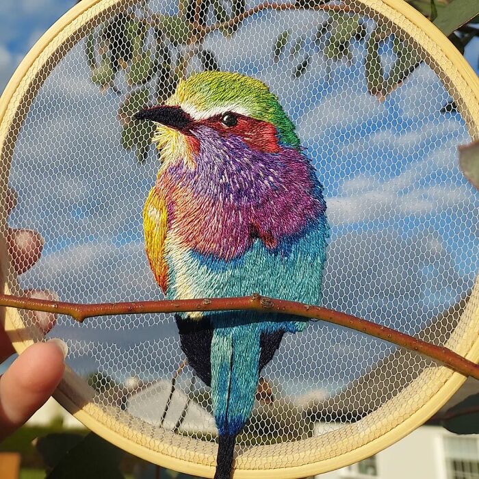 Lilac-Breasted Roller