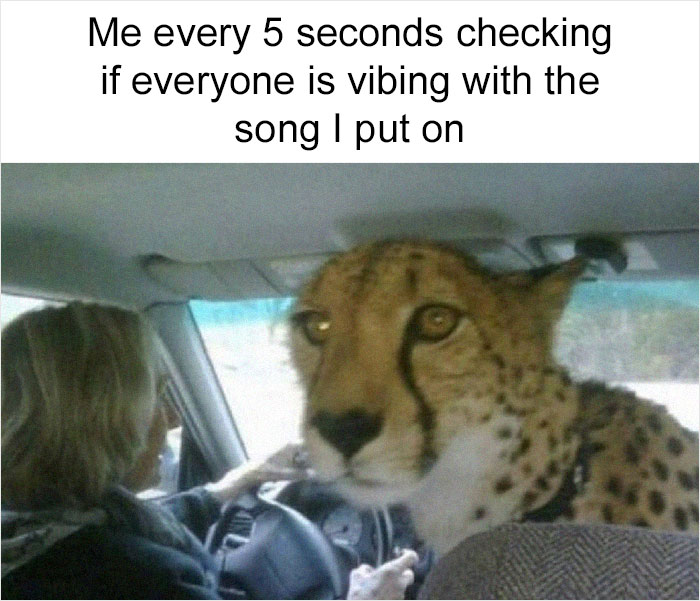 Funny-Daily-Introvert-Memes