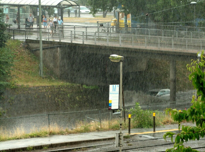 39 Folks Online List Driving Rules That Aren’t Written Down On Paper, Yet Everyone Still Should Know