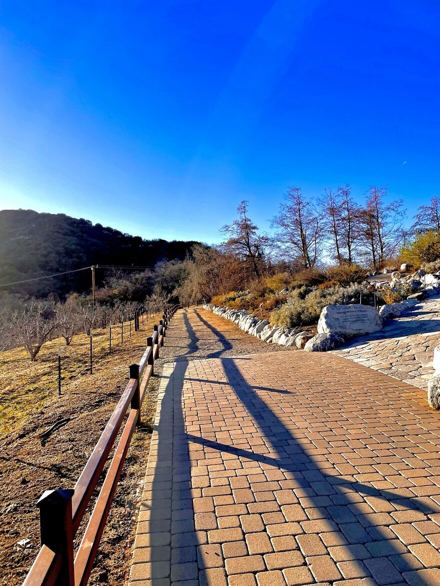 10 Photos I Took That Would Make Nice Album Covers