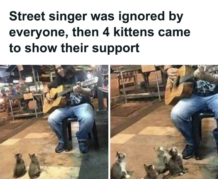 Funny-Respectful-Memes