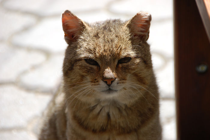 30 Facts That Might Make You Think “Well, That’s Enough Internet For One Day”, As Shared By Folks In This Online Group