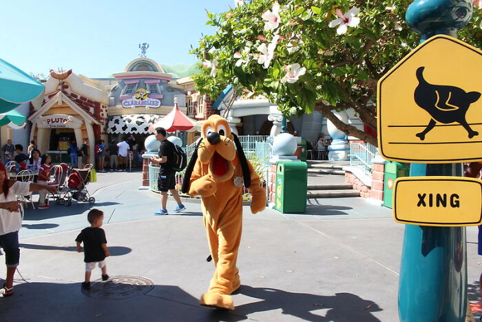 25 Of The Most Controversial Mysteries And Tales From Disney Park Staff And Visitors