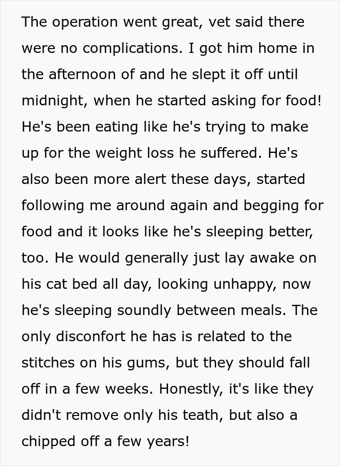 Woman Goes Off On Sister, Calls Her A &ldquo;Crazy Cat Lady That's Going To End Up Alone&rdquo; For Refusing To Help Her Out Financially