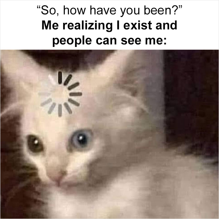 Funny-Daily-Introvert-Memes