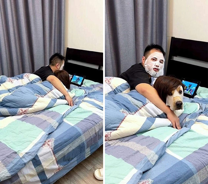 Funny-Important-Animals-Images