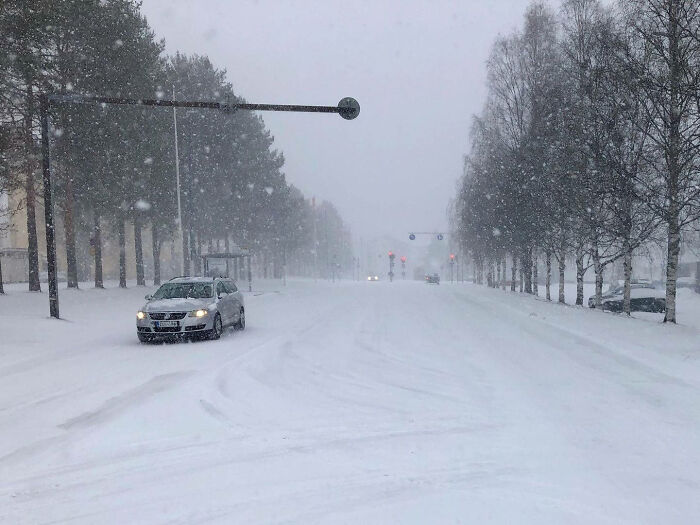 Wait What You Guy's Have Spring?