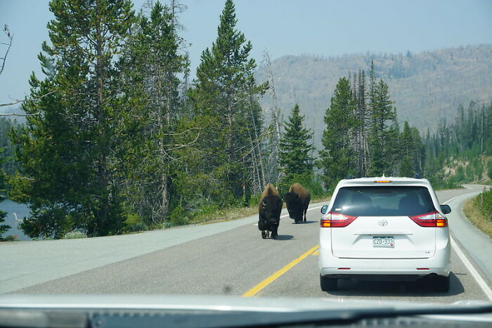 39 Folks Online List Driving Rules That Aren’t Written Down On Paper, Yet Everyone Still Should Know