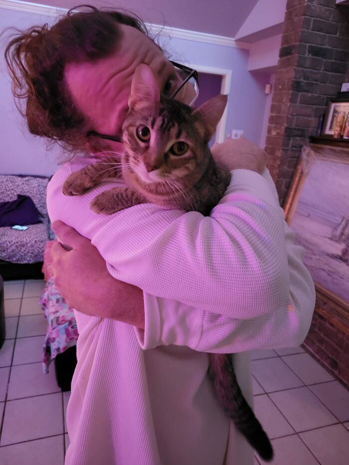 Well This Was Gonna Be A My House, Not My Cat Post But This Little Lady Is Now My Cat