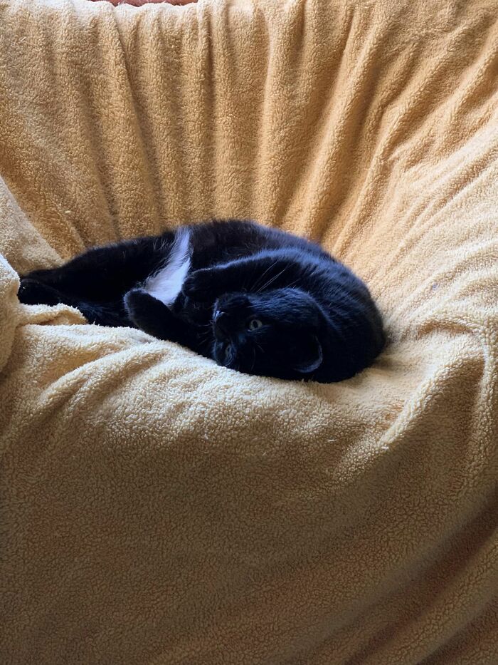 4 Year Update, Cause It Has To Be Done