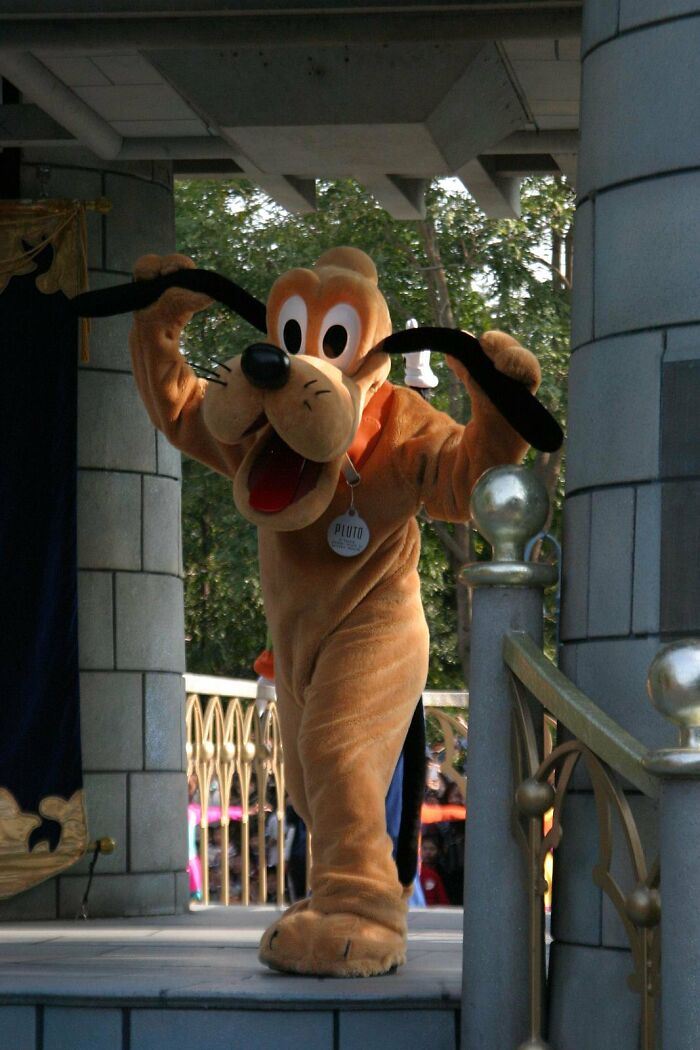 25 Of The Most Controversial Mysteries And Tales From Disney Park Staff And Visitors