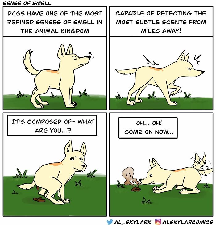 Silly Comics That Will Make You Laugh Out Loud