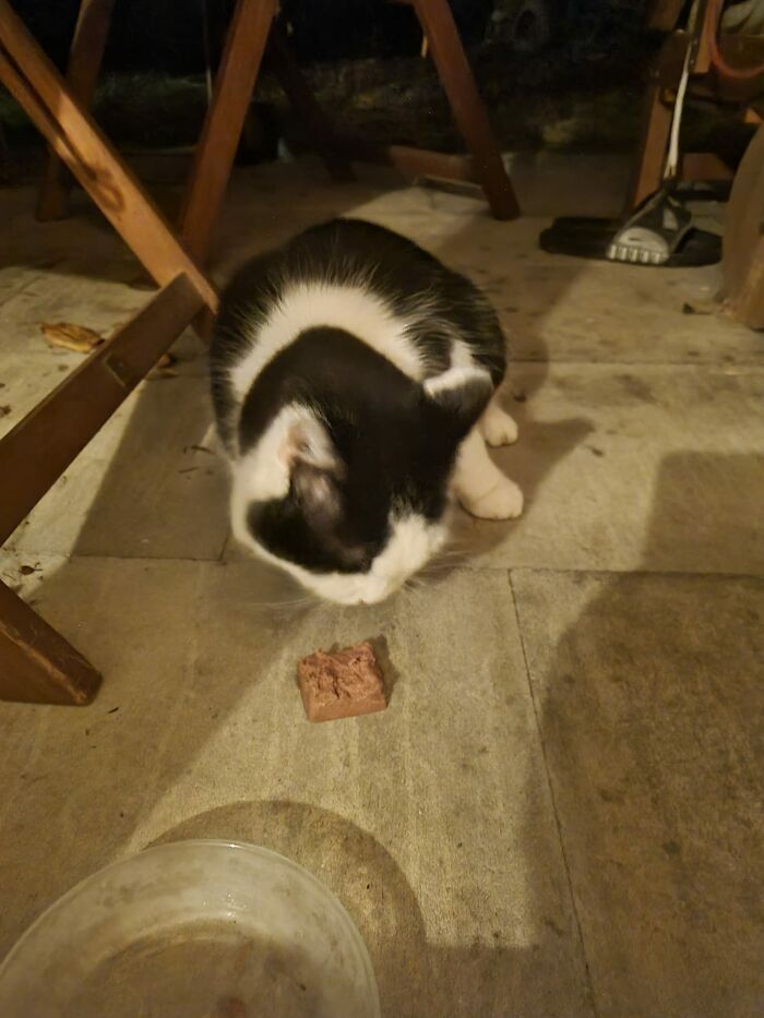 It Has Finally Happened! My BF Calls Him Flecki, I Refer To Him As My Stepson